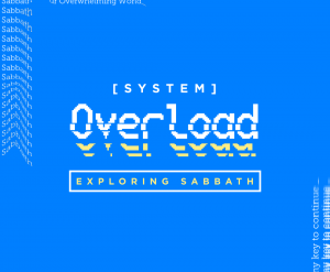 SystemOverload-Insta2 SystemOverload-Insta2