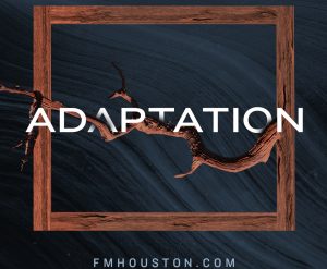 Adaptation-S2 Adaptation-S2