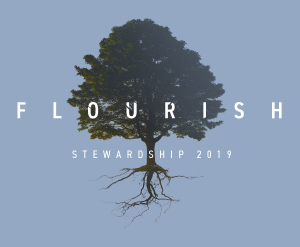 Flourish-Archive Flourish-Archive