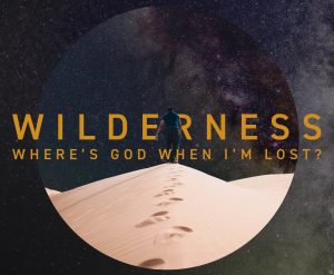 Wilderness S2 Wilderness S2