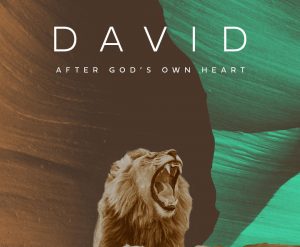 David-S2 David-S2