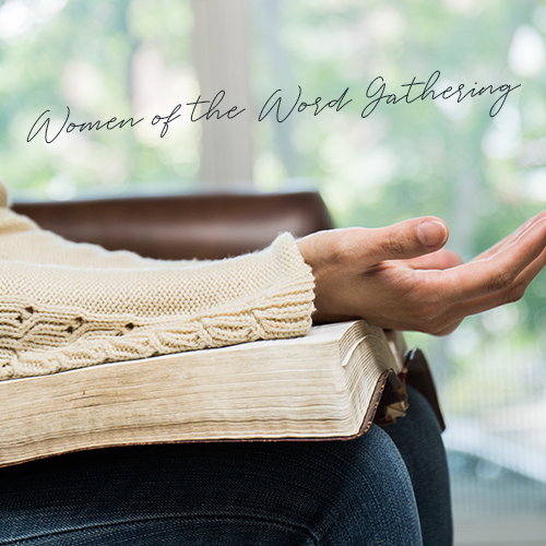 W.O.W. is a group of women of all ages that study a variety of Biblical topics and engages with current events that are meaningful in our lives.