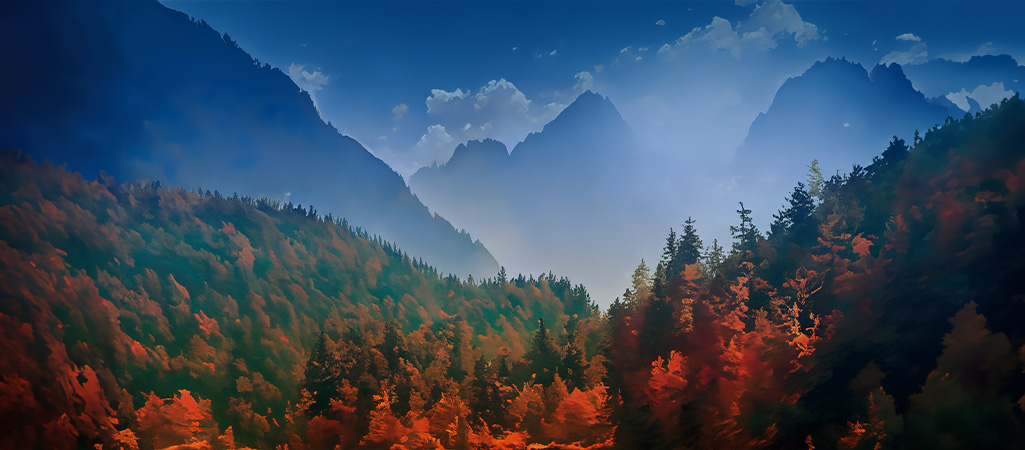 Landscape Image - Abundantly More